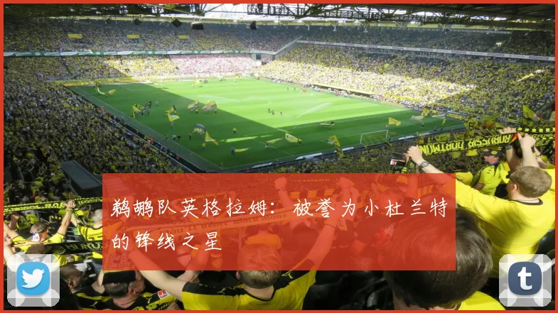 鹈鹕队英格拉姆：被誉为小杜兰特的锋线之星