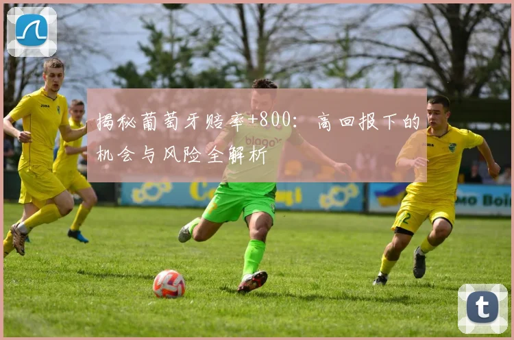 揭秘葡萄牙赔率+800：高回报下的机会与风险全解析