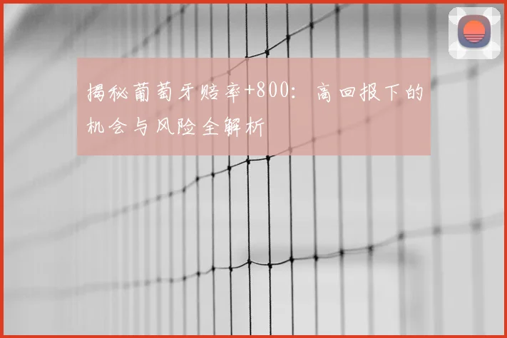 揭秘葡萄牙赔率+800：高回报下的机会与风险全解析